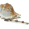 Broche Broche - Broche barrette aux perles en or gris 18K 58 Facettes REF2401-179
