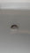 Bague 51 Demi-alliance - Bague en or blanc et diamants 58 Facettes Bague 001
