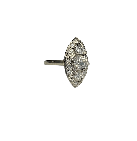 marquise 1.png