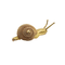 Broche Hermès Escargot - Broche en or jaune 58 Facettes 50235