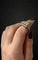 Bague 51 Bague fascione - Bague en or jaune 18K et diamants 58 Facettes