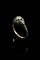 Bague Jugendstil - Bague en or jaune et diamant 58 Facettes