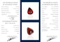 Grenat spessartite - Pierre 2,41 ct taille goutte mixte orange intense 58 Facettes #26-119-GRSPPR