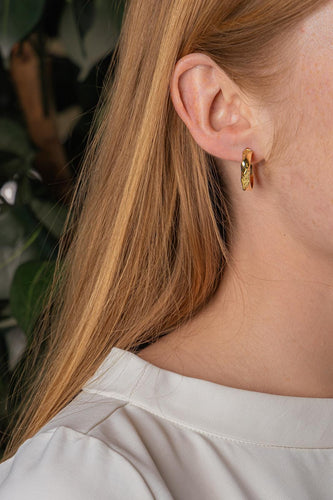 5745729CN02.jpg