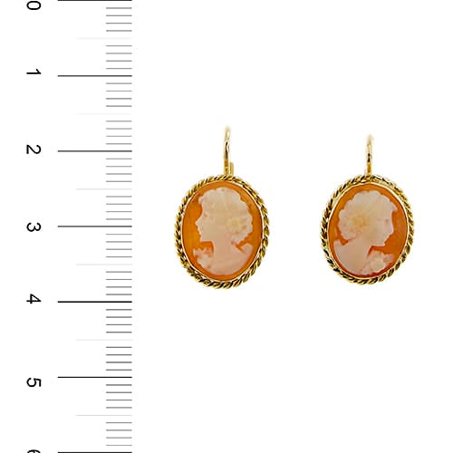 Boucles d'oreilles camée en or jaune 58 Facettes 34892