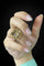 Bague Bague - Quarzo Morione en or jaune 18 kt 58 Facettes