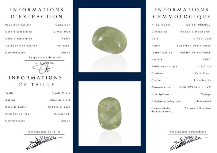 Inner Page.png
