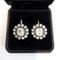 vintage_earrings_jewelry_case.webp