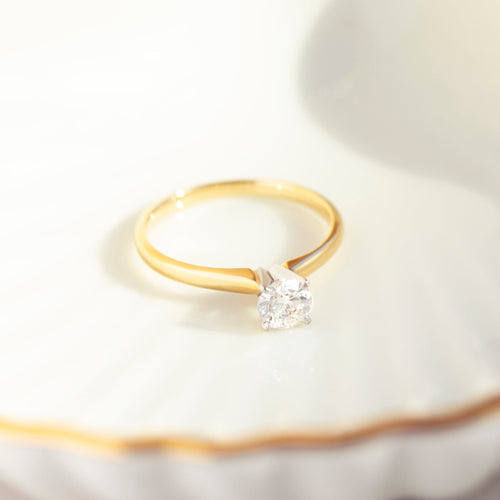 https://cdn.shopify.com/s/files/1/0442/6560/3235/files/DSC_0003.jpg?v=1786506646