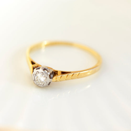 https://cdn.shopify.com/s/files/1/0442/6560/3235/files/DSC_0051.jpg?v=1786566236