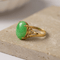 https://cdn.shopify.com/s/files/1/0442/6560/3235/files/hf_20260812_142710_72434fd0-015d-42c8-96e9-c48b608656f4.png?v=1786544997