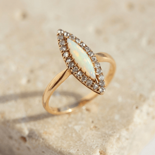 https://cdn.shopify.com/s/files/1/0442/6560/3235/files/hf_20260812_135001_a640a75f-7f99-42f8-ac42-6172898ad4a0.png?v=1786542769