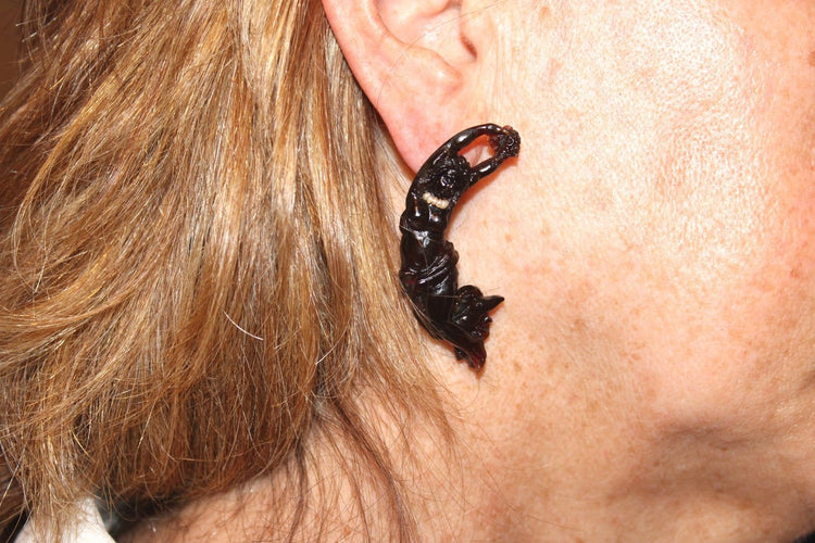 Boucles d'oreilles anciennes en écaille, or et perles 58 Facettes 7734