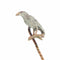 Victorien - Épingle à cravate corbeau en or rouge, argent, diamants et rubis 58 Facettes 22283-0088