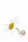 51 Bague victorienne en or jaune et rouge, perle et diamants 58 Facettes 26085-0085