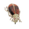 A circa 1880 beetle brooch with reddish tiger’s eye and seed pearls 58 Facettes 26127-0278