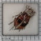 A circa 1880 beetle brooch with reddish tiger’s eye and seed pearls 58 Facettes 26127-0278