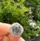 51 Bague en or blanc avec alexandrite ALGT 3,32 ct et diamants 58 Facettes ring