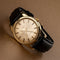 Omega Seamaster Cross-Hair - Montre automatique plaqué or 58 Facettes TOT-01533