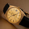 Omega Seamaster Automatic - Montre plaqué or 58 Facettes TOT-01339