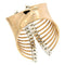 Bague Guidetti - Bague en or rose et blanc avec diamants taille brillant 58 Facettes G2656