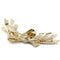 Broche Broche - Or, Platine & Diamants 58 Facettes 230076R