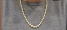 Collier Collier en Or jaune, perle de culture 58 Facettes