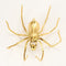 Broche Broche en or jaune à motif d'araignée 58 Facettes ANG0995