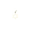 Pendentif Pendentif étoile de David Or blanc 58 Facettes