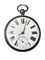 Montre E. Perfitt - Montre de poche en argent sterling, Londres 1874 58 Facettes