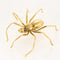 Broche Broche en or jaune à motif d'araignée 58 Facettes ANG0995