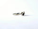 Bague 53 Bague toi et moi en or blanc 18 k avec diamant et saphir 58 Facettes