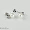 Boucles d'oreilles Boucles d'oreilles puces - Perles et diamants en or blanc 585 58 Facettes 2305