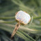 Bague 55 Bague ancienne opale solitaire 58 Facettes 19-471-48