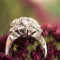 Bague 54 Bague rétro diamants bouquet 58 Facettes 20-196-51