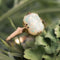 Bague 55 Bague ancienne opale solitaire 58 Facettes 19-471-48