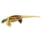 Broche Broche Mellerio "Faisan" en or jaune, émail et diamant. 58 Facettes 29966