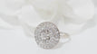 Bague Bague Art Déco double entourage de diamants en or blanc et platine 58 Facettes 31669