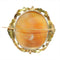 Broche Broche camée Le Taureau Farnèse 58 Facettes 23271-0317