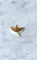 Pendentif Pendentif vintage dent de requin sur or 58 Facettes