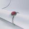 Bague Bague en or blanc diamants et rubis 58 Facettes 5569