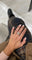 Bague 57 Bague Art déco Or Diamant 58 Facettes