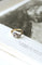 Bague Bague Toi et Moi perle et diamants 58 Facettes