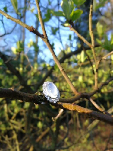 Bague 55 Bague en platine, diamant & pierre de lune 58 Facettes 19312-0202
