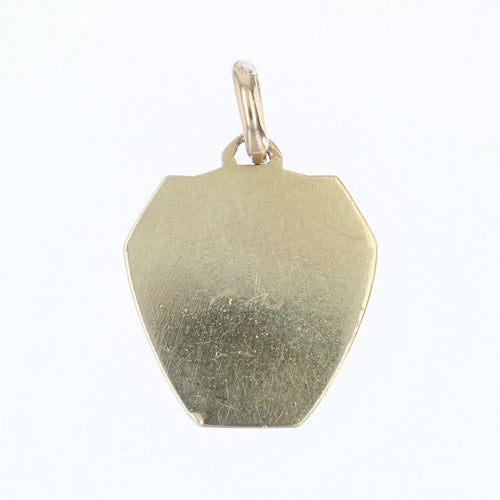 Pendentif Médaille Toujours de + en + en or 58 Facettes CVP23