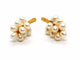 Boucles d'oreilles Boucles d'oreilles Or jaune Perle 58 Facettes 1091907CD
