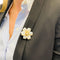 Broche Broche Van Cleef & Arpels " Rose de Noël" en or jaune, diamants et nacre. 58 Facettes 31835
