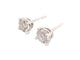 Boucles d'oreilles boucles d'oreilles TIFFANY & CO puces platine diamants 1.52ct ears 58 Facettes 253647