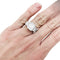 Bague 49.5 Bague Edouard Nahum diamant 3,31 carats en or blanc. 58 Facettes 30746