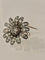Broche Broche Fleur Diamants Taille Ancienne 58 Facettes 1067847